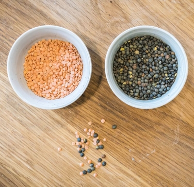 Bælgfrugternes mangfoldighed